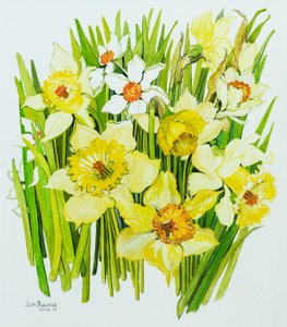 Narcisos y narcisos de Joan Thewsey